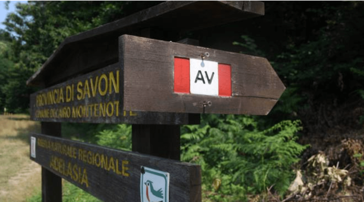 Screenshot 2019-03-15 10.30.03.png