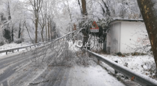 di default 2020-12-04 alle 18.39.54